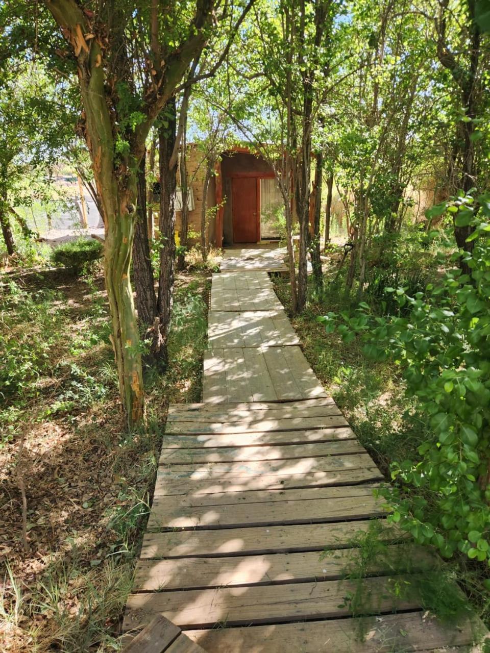 Hospedaje Rural Casa De Felix ซานเปโดร เด อาตากามา ภายนอก รูปภาพ